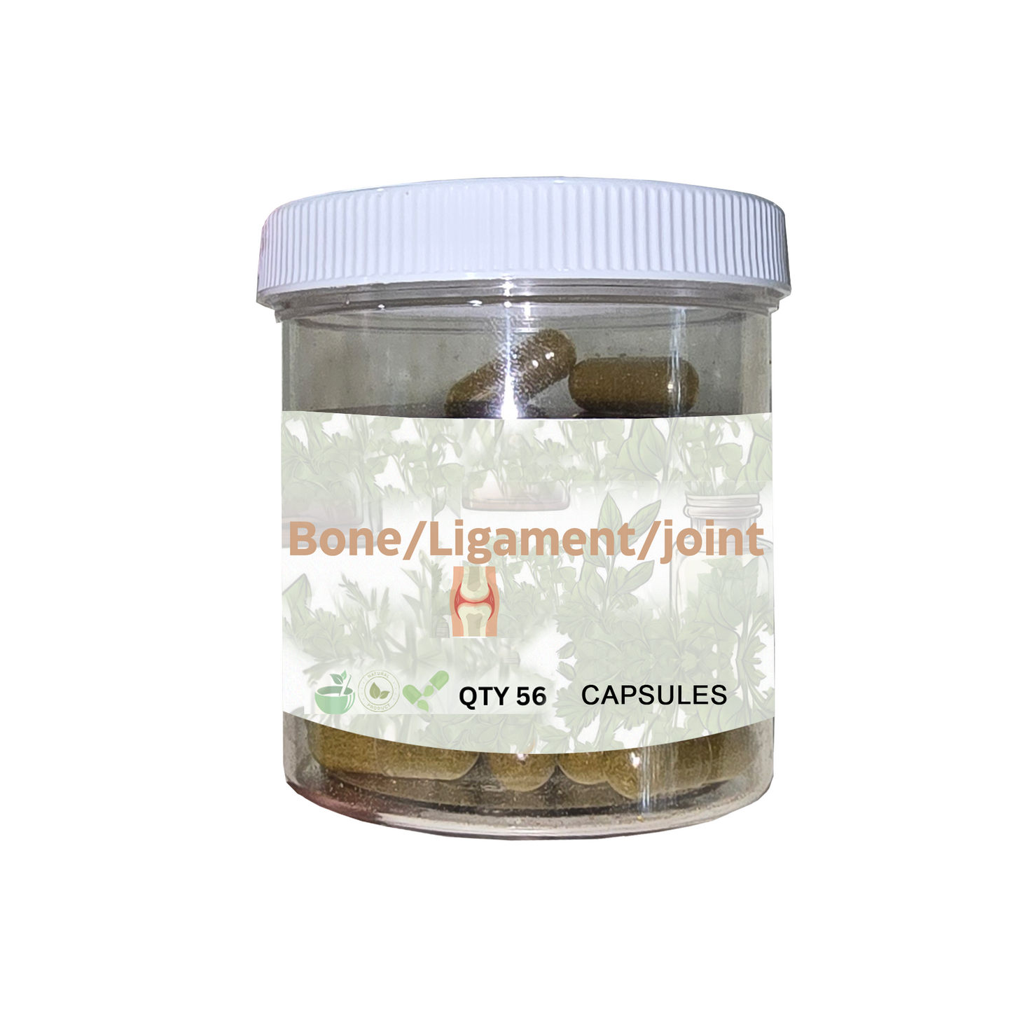 Bone/Ligament/Joint Capsules