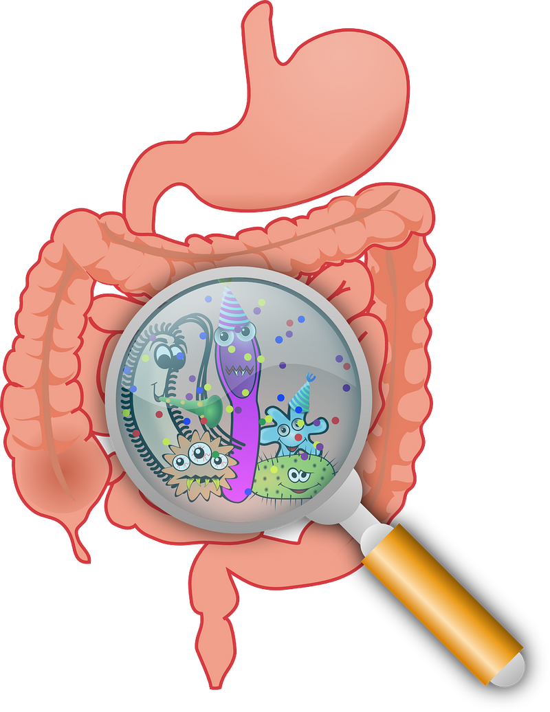 All Dis-EASE starts in the gut!